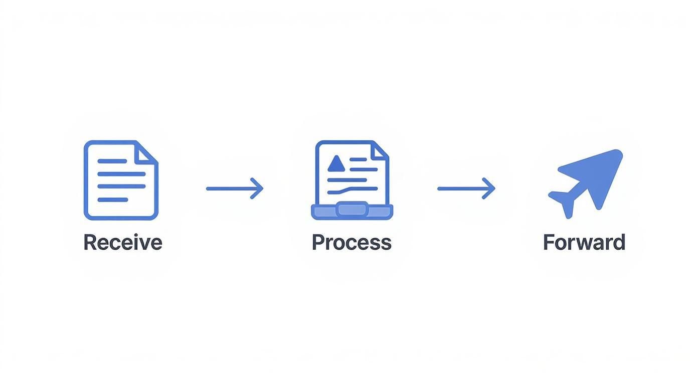 Infographic showing the mail forwarding process flow from receiving mail, to processing it, and finally forwarding it to the recipient.