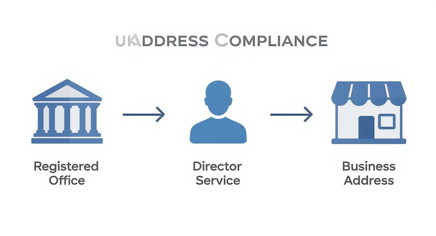 Infographic about virtual address for business uk
