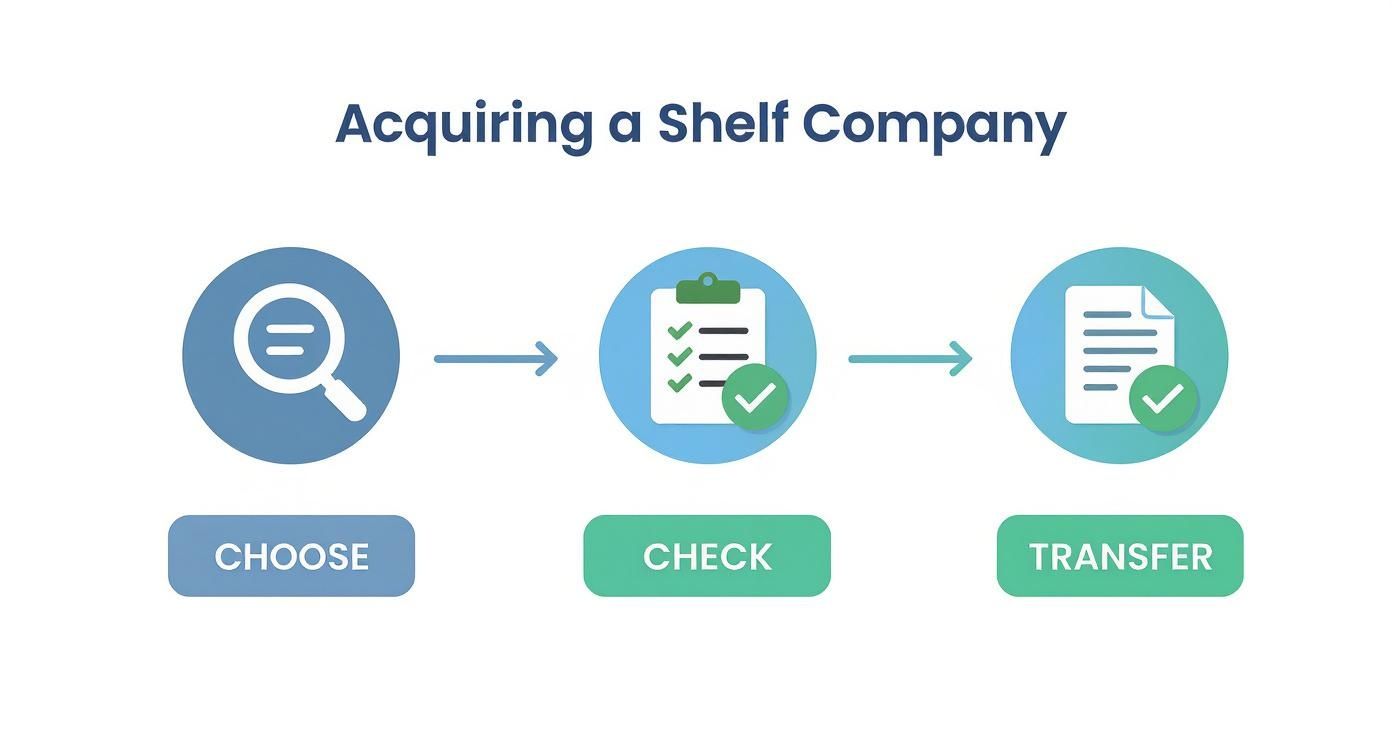 Infographic about what is a shelf company