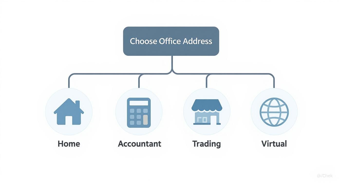 Infographic decision tree for choosing a registered office address, showing options like home, accountant, trading, and virtual addresses.