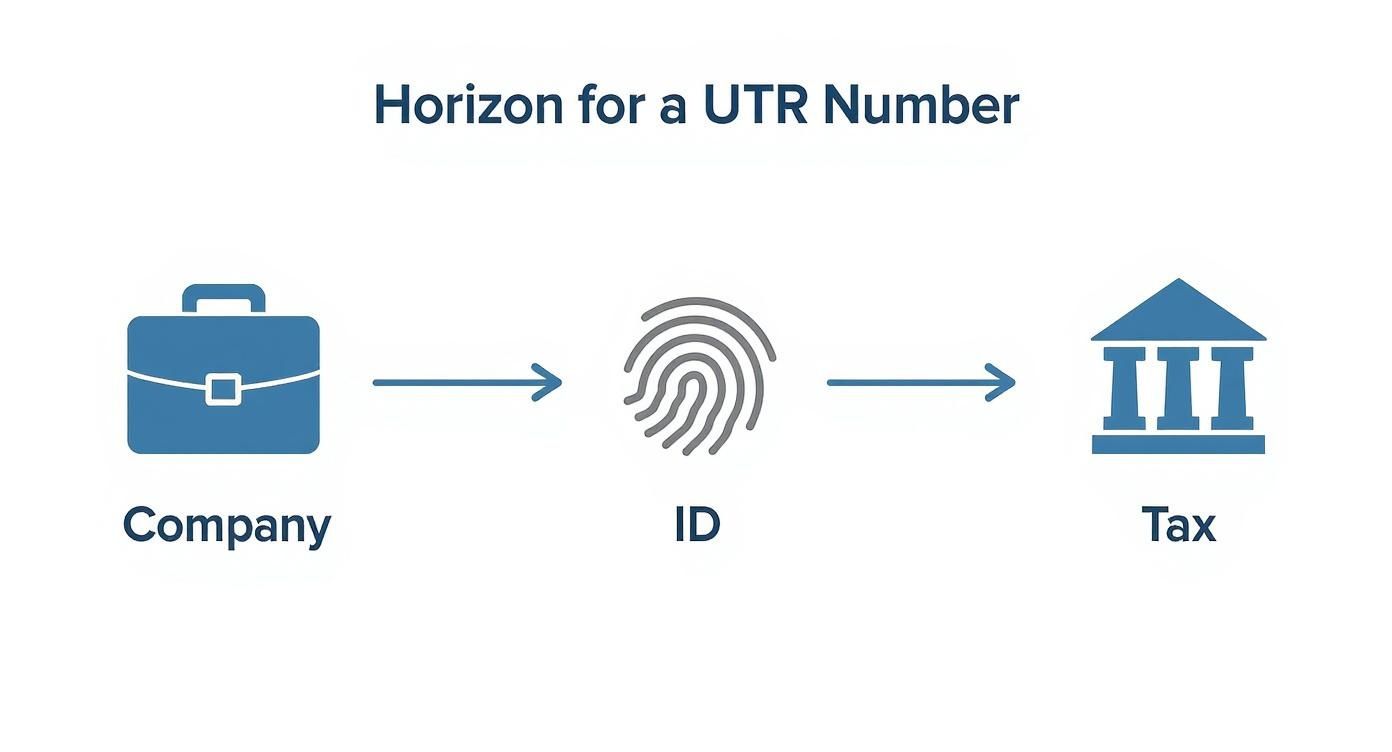 Infographic about company unique tax reference number