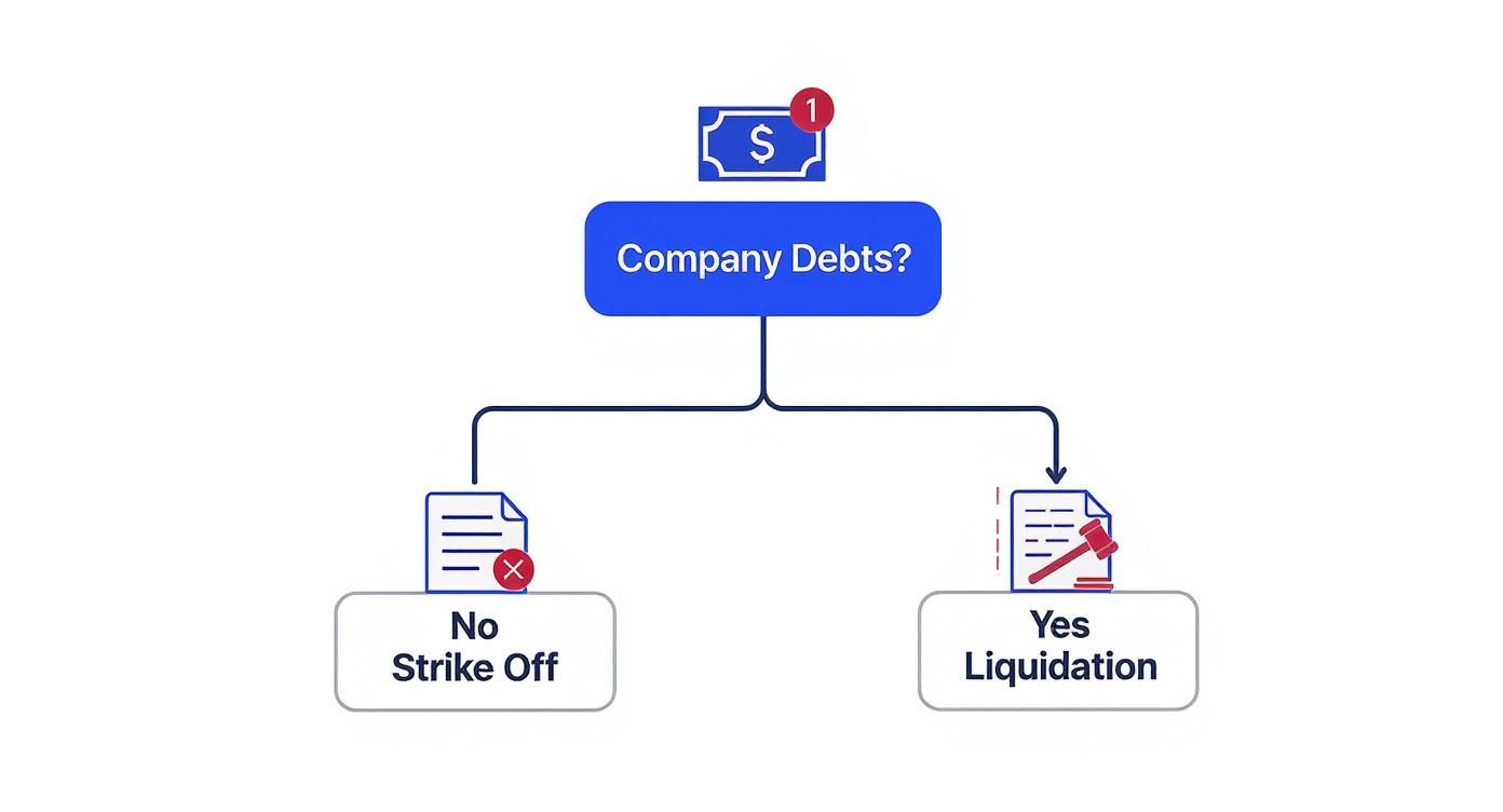 Infographic decision tree showing the two main paths for closing a company: Strike Off for debt-free companies and Liquidation for companies with debts.